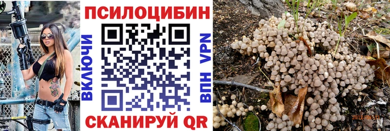 Галлюциногенные грибы Cubensis  купить   Елизаветинская 